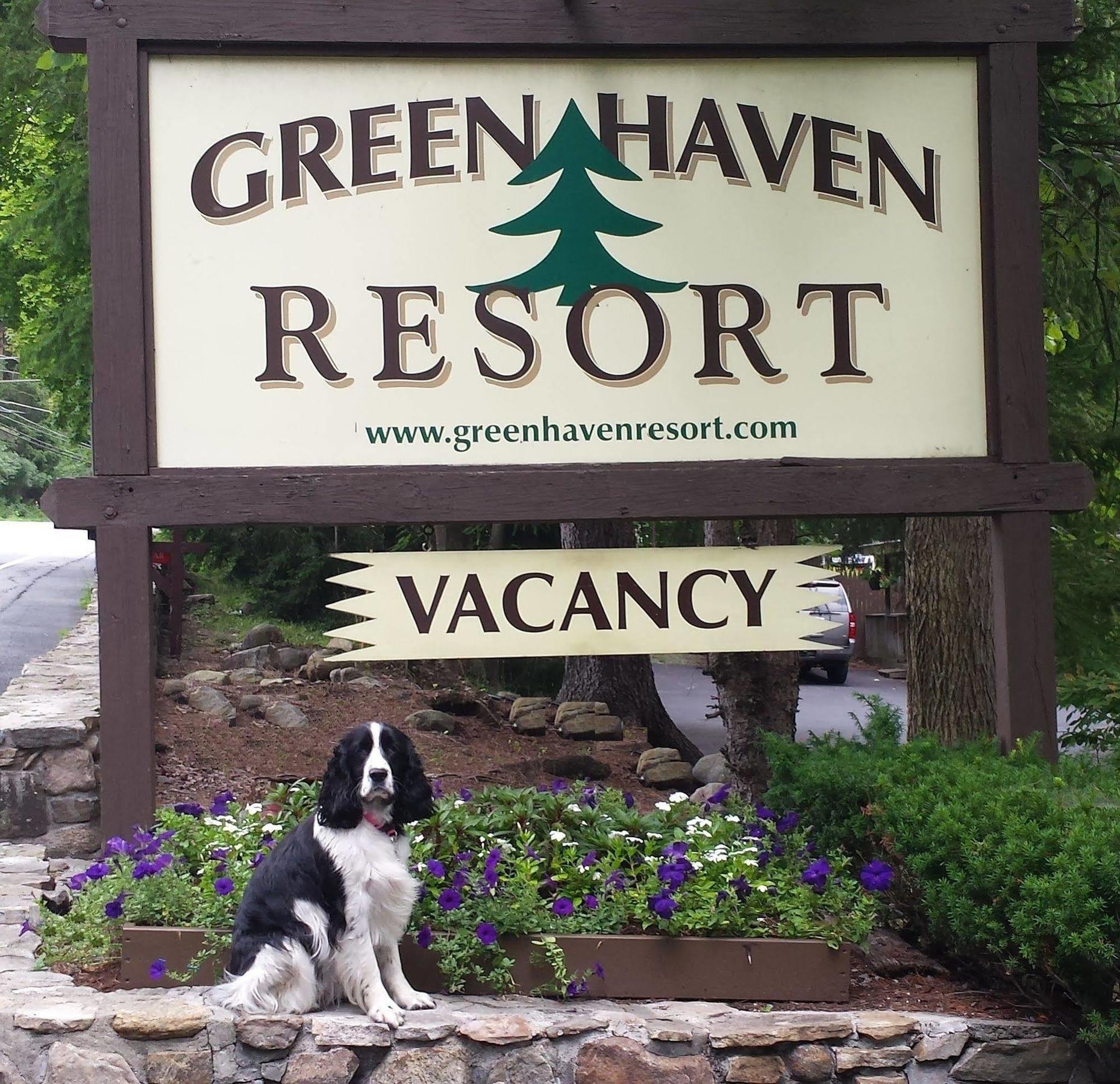 Green Haven Resort Lake George Bagian luar foto
